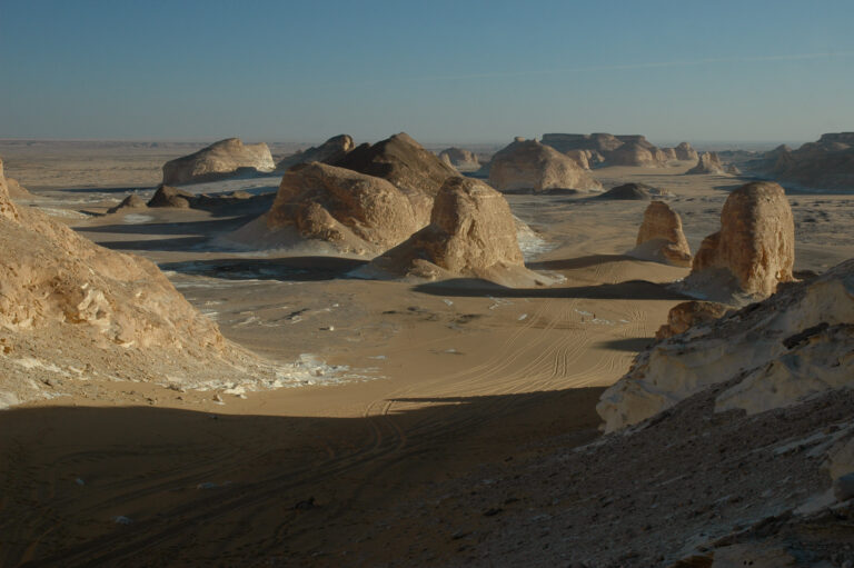 white desert safari