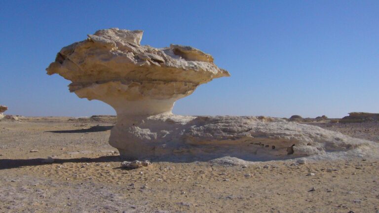 white desert safari