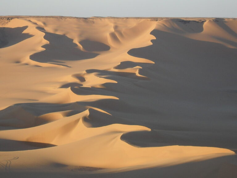 western desert