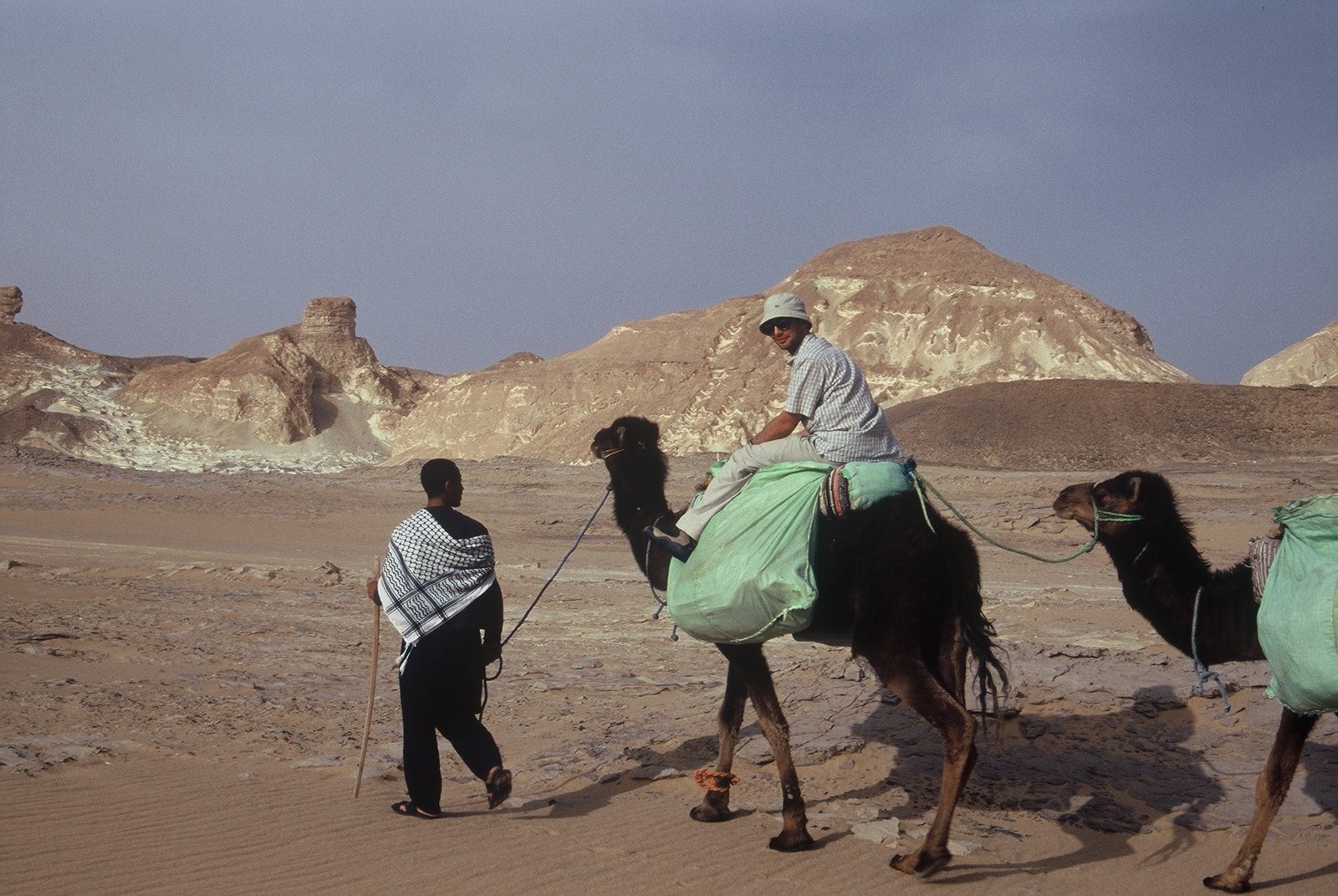 Camel trekking through the White Desert in Egypt's Western Desert