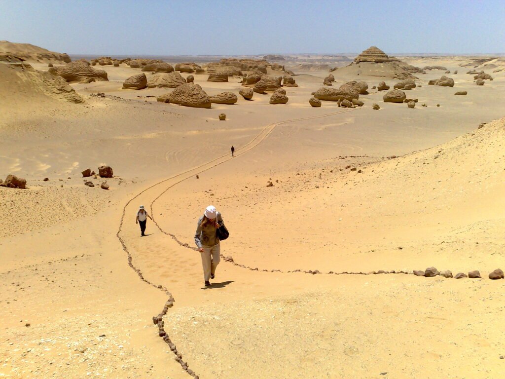 Egypt Desert Adventur