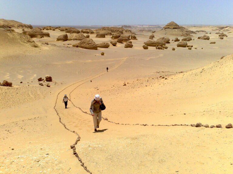 Egypt Desert Adventur