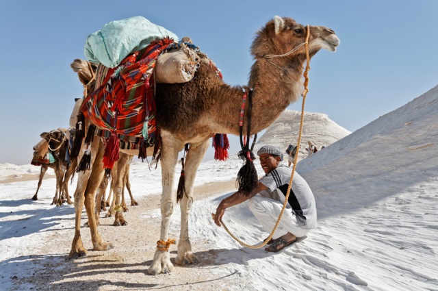 Camel Trekking Tour