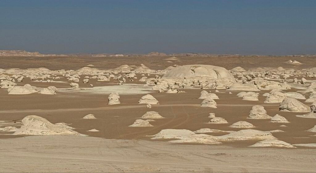 egypt western desert tours