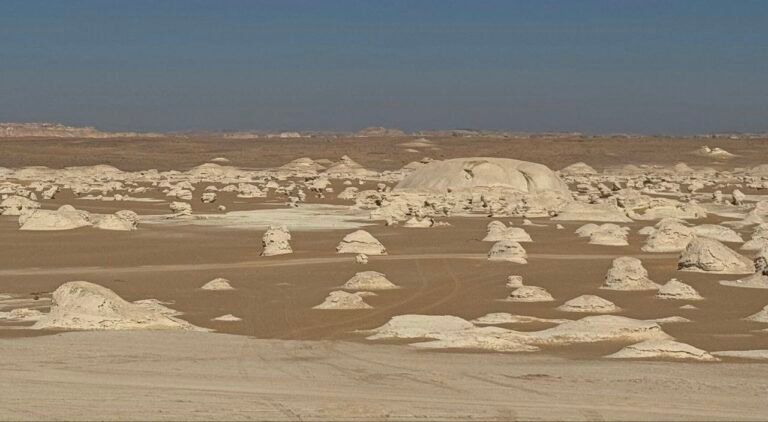 egypt western desert tours