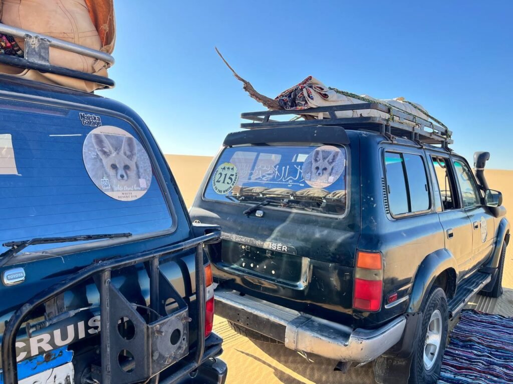 western desert tours from cairo