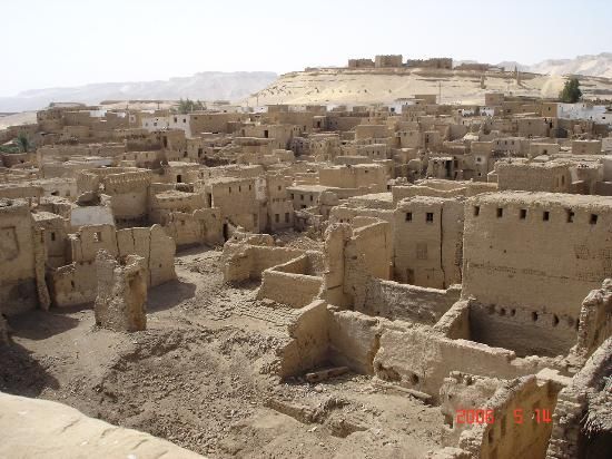 Farafra Oasis