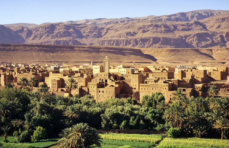 Oasis_ Tinhrir, oasis and city in sahara desert…