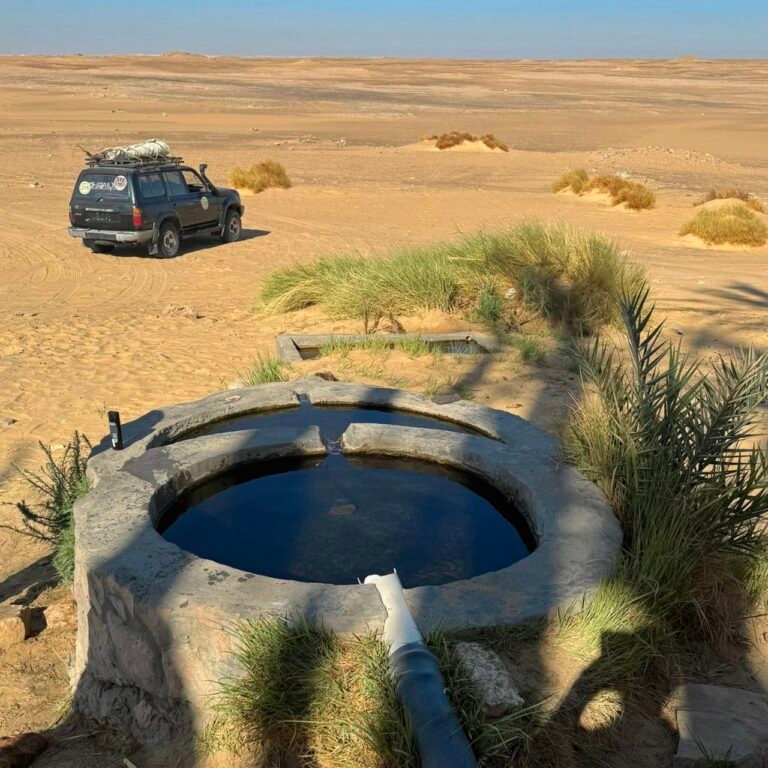 Sahara desert in egypt tour