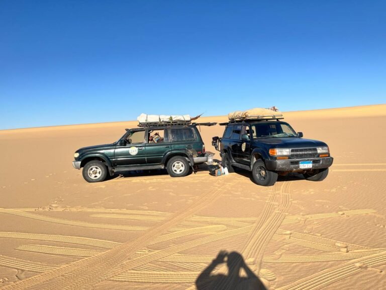 Sahara desert in egypt tourism
