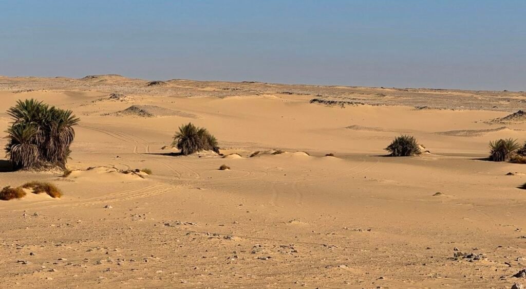 Egypt Western Desert Tours